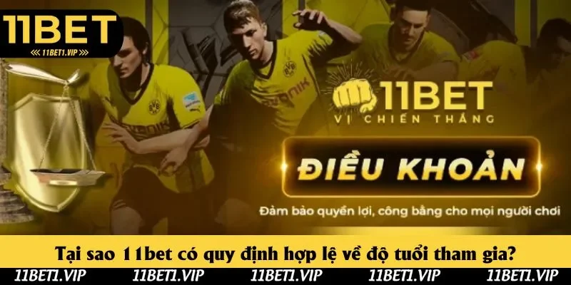 Lý do nền tảng ra quy định độ tuổi tham gia hợp pháp Lý do nền tảng ra quy định độ tuổi tham gia hợp pháp