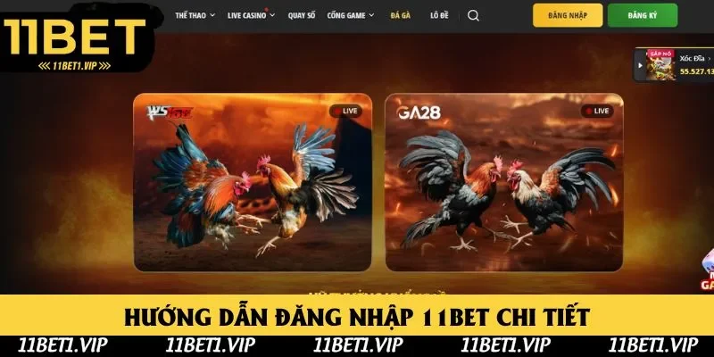 Đăng Nhập 11BET Đúng Cách, Thả Ga Chơi Game Online 2025