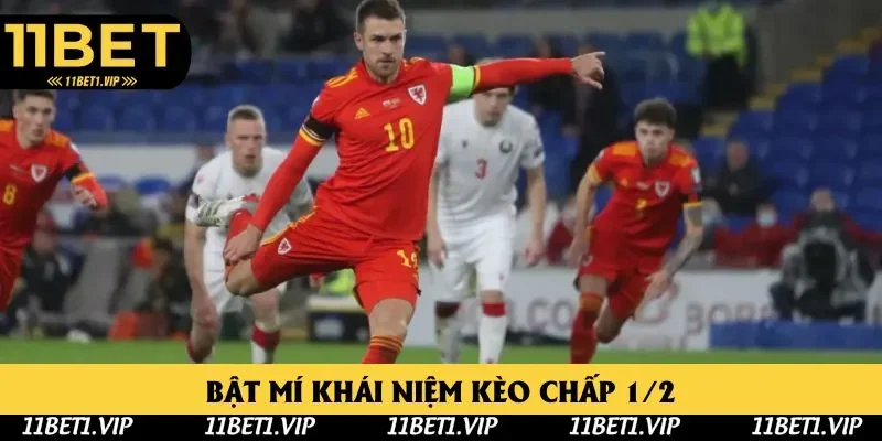 Bật mí khái niệm kèo chấp 1/2 trong bóng đá Bật mí khái niệm kèo chấp 1/2 trong bóng đá