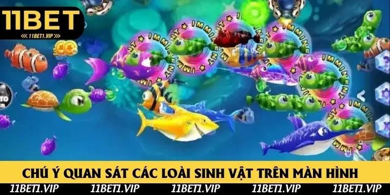 Chú ý quan sát các sinh vật trong bàn Chú ý quan sát các sinh vật trong bàn