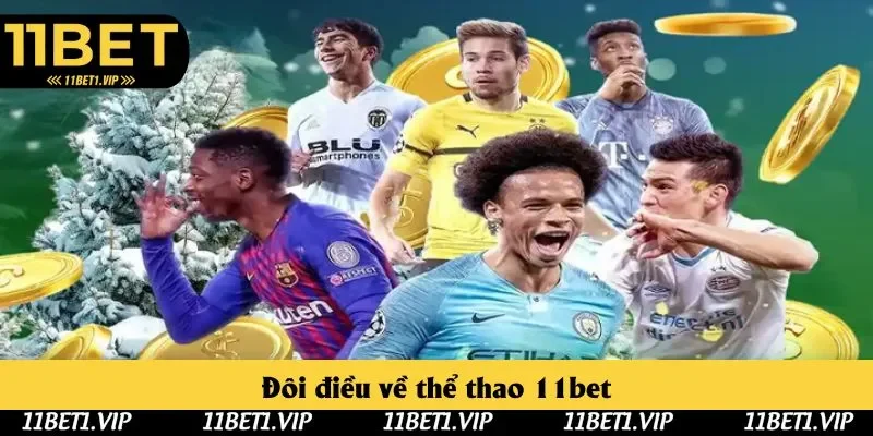 Đôi điều về thể thao 11bet Đôi điều về thể thao 11bet