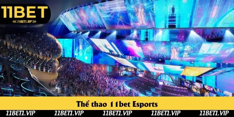 Esports được nhiều thành viên kỳ cựu đánh giá cao, chuyên nghiệp Esports được nhiều thành viên kỳ cựu đánh giá cao, chuyên nghiệp