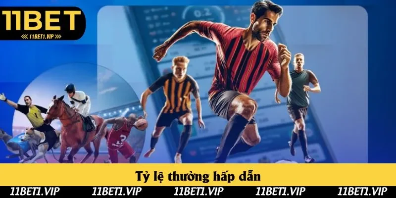 Các thành viên nhận được tỷ lệ thưởng cực cao, hấp dẫn Các thành viên nhận được tỷ lệ thưởng cực cao, hấp dẫn